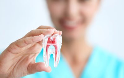 14 Things to Consider When Choosing a Dentist in Eastpointe, MI